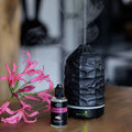 Diffuseur Huiles Essentielles Ultrasonique pour la Maison - Modèle Art Noir