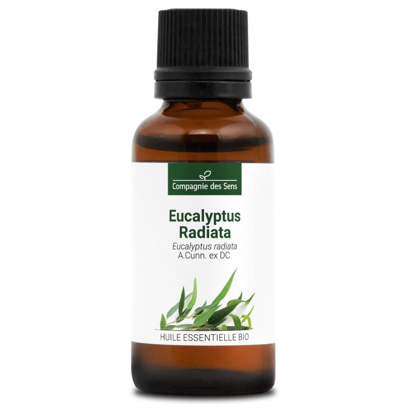 Eucalyptus Radiata – Huile Essentielle Bio 30mL – 100% Pure