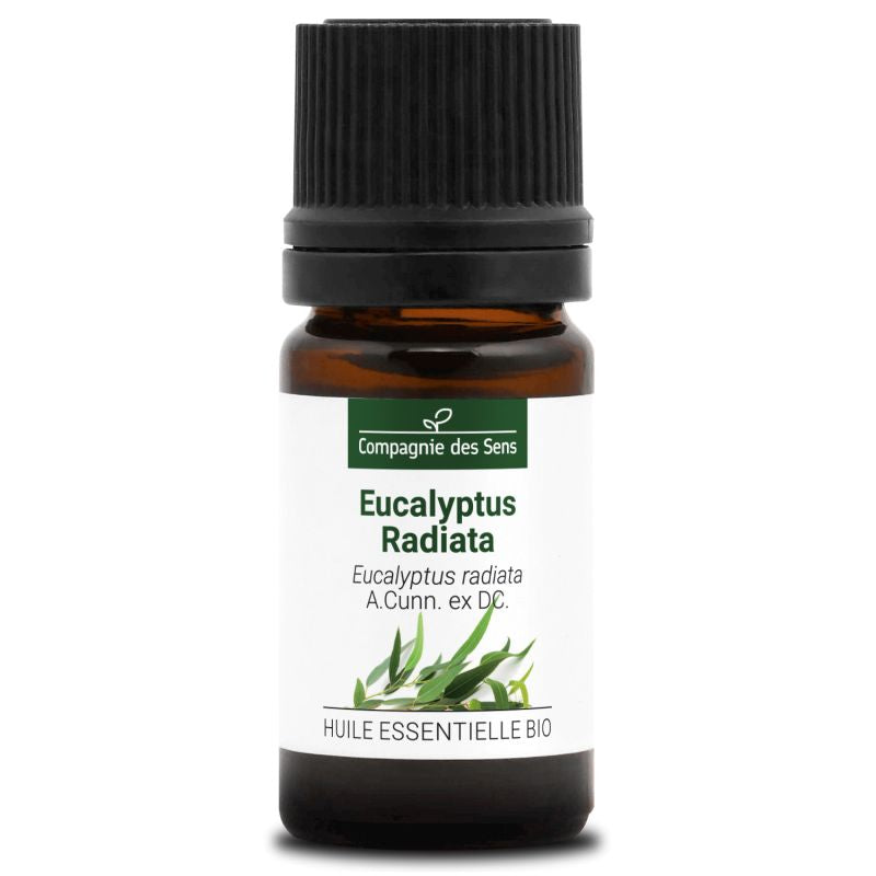 Eucalyptus Radiata – Huile Essentielle Bio 5mL – 100% Pure