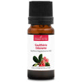 Gaulthérie Odorante – Huile Essentielle Bio 10mL – 100% Pure
