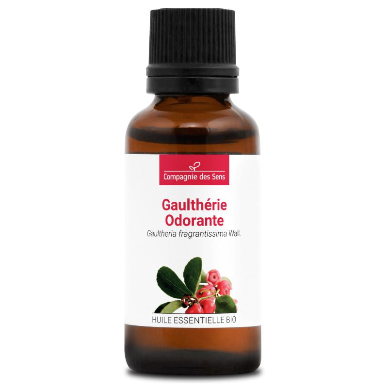 Gaulthérie Odorante – Huile Essentielle Bio 5mL – 100% Pure