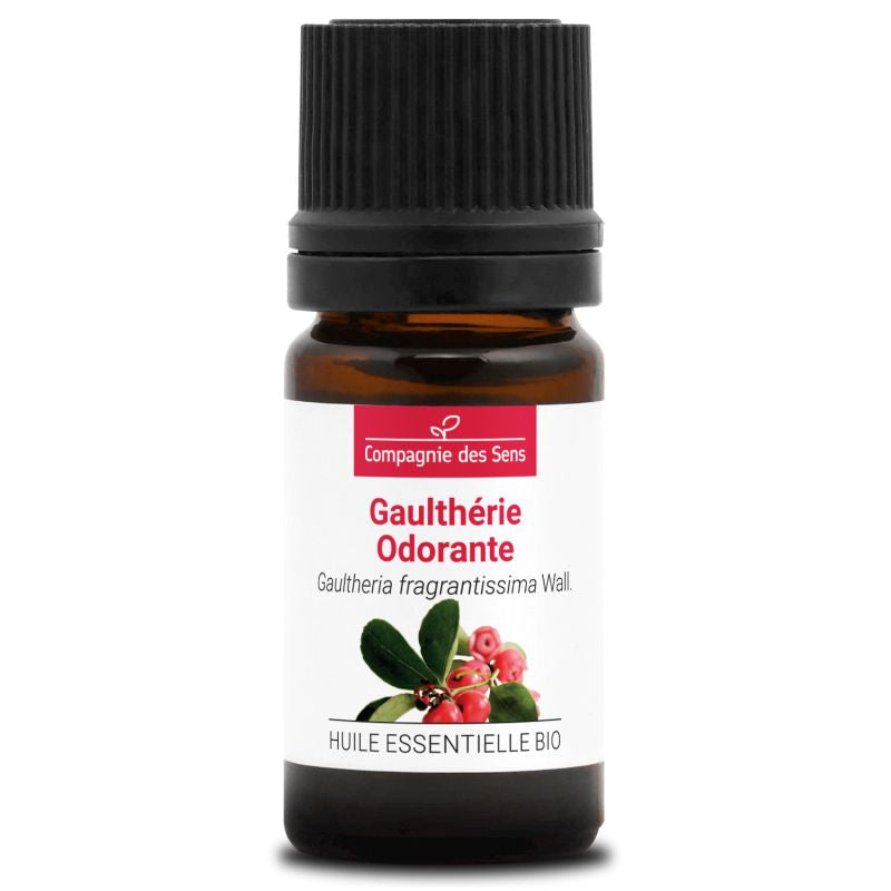 Gaulthérie Odorante – Huile Essentielle Bio 5mL – 100% Pure