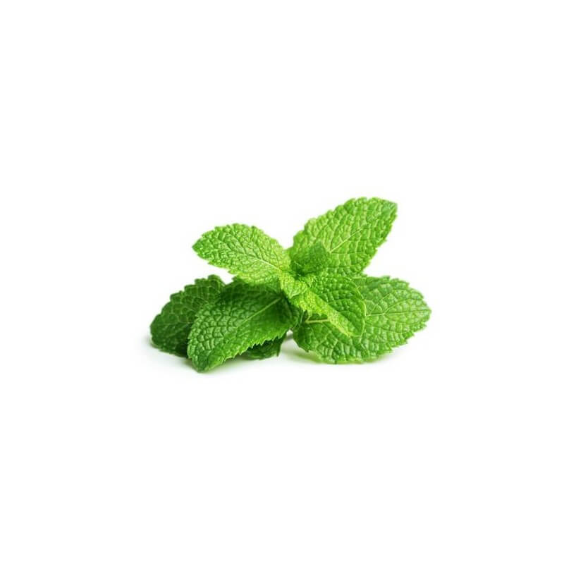 Menthe Poivrée – Huile Essentielle Bio 5mL – 100% Pure