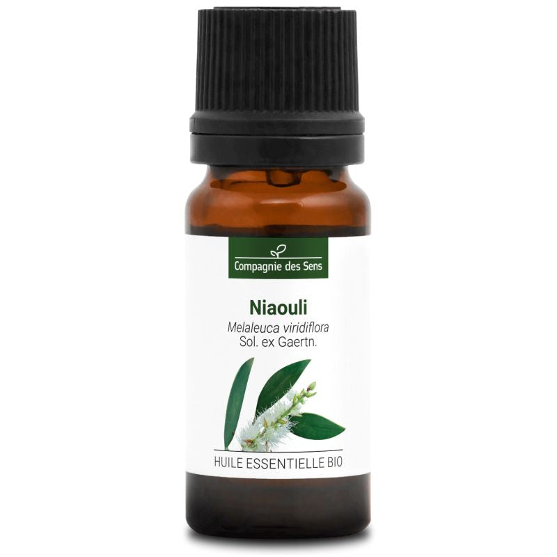 Niaouli – Huile Essentielle Bio 10mL – 100% Pure