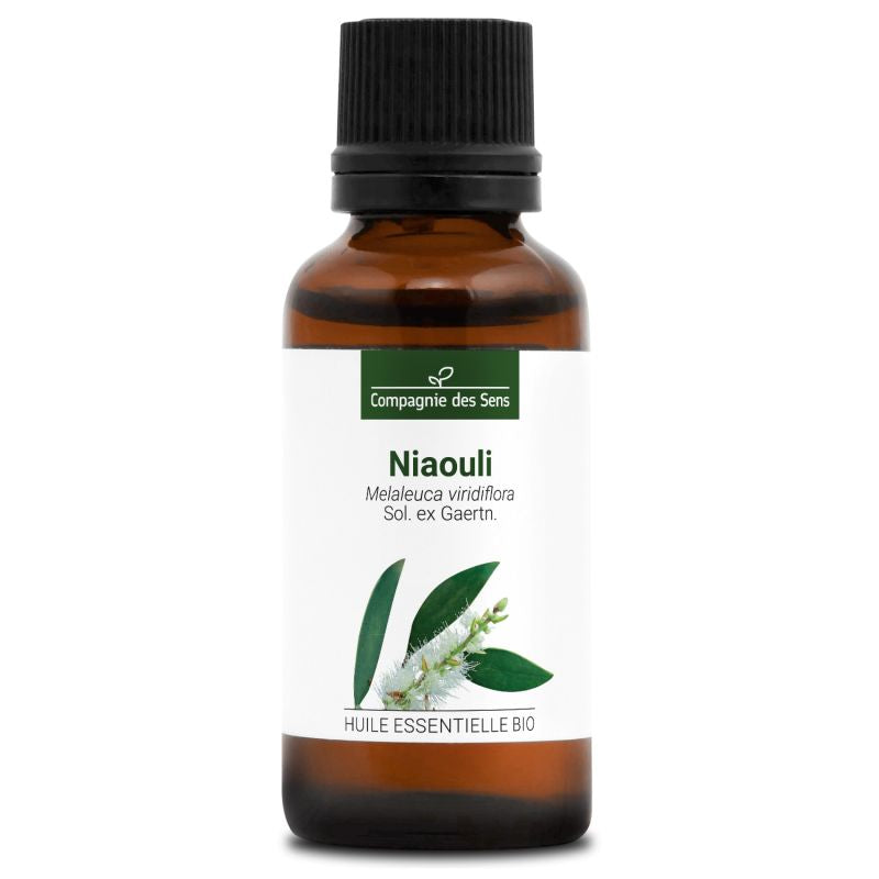 Niaouli – Huile Essentielle Bio 30mL – 100% Pure