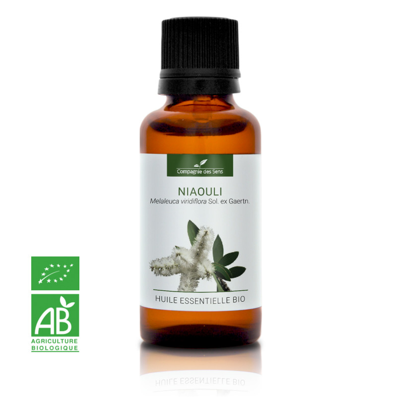Niaouli – Huile Essentielle Bio 5mL – 100% Pure