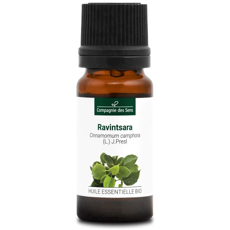 Ravintsara – Huile Essentielle Bio 10mL – 100% Pure