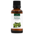 Ravintsara – Huile Essentielle Bio 30mL – 100% Pure