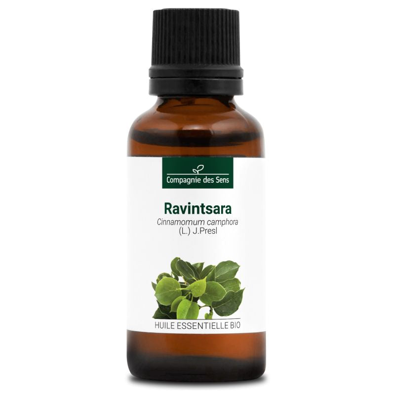 Ravintsara – Huile Essentielle Bio 30mL – 100% Pure