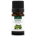 Ravintsara – Huile Essentielle Bio 5mL – 100% Pure