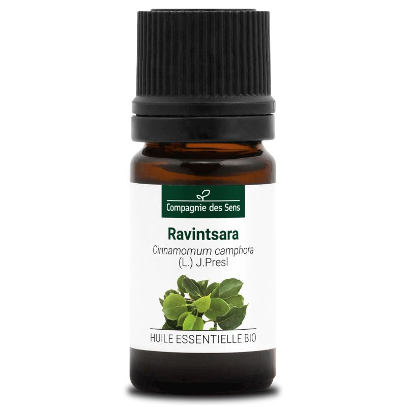 Ravintsara – Huile Essentielle Bio 5mL – 100% Pure