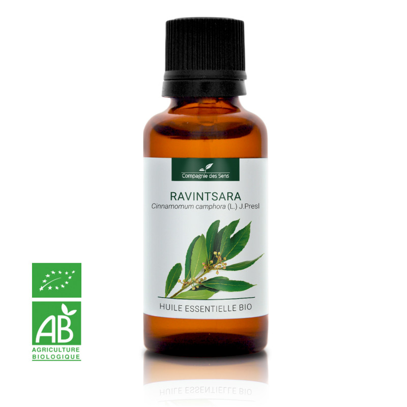 Ravintsara – Huile Essentielle Bio 5mL – 100% Pure