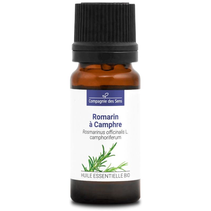 Romarin à Camphre – Huile Essentielle Bio 10mL – 100% Pure