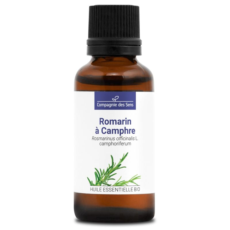 Romarin à Camphre – Huile Essentielle Bio 30mL – 100% Pure