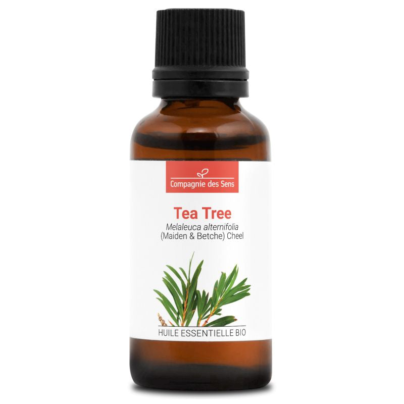 Tea Tree – Huile Essentielle Bio 30mL – 100% Pure