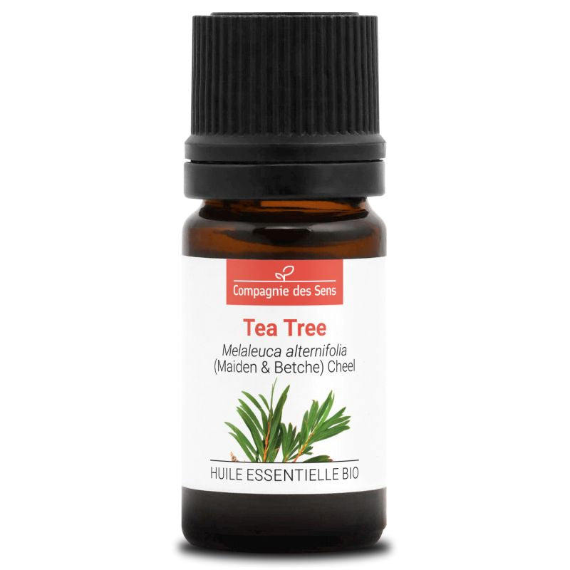 Tea Tree – Huile Essentielle Bio 5mL – 100% Pure